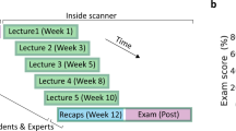 brain activity problem solving