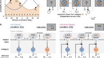 neural representations definition