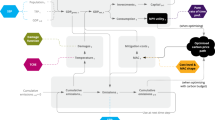 literature and studies in research example