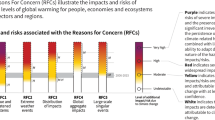 negative impacts of climate change essay