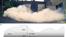 hypothesis of volcano experiment