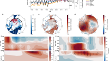 case study of amazon basin