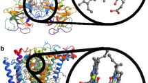 thesis on quantum biology thesis on quantum biology