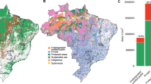 amazon deforestation case study