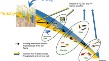 research paper on tropical forest