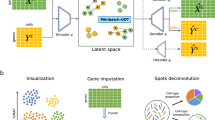 representation data define