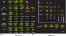 research about plants growth