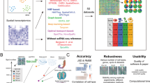 cell type assignments for spatial transcriptomics data cell type assignments for spatial transcriptomics data