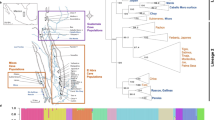 research on cloning animals