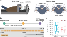 sleep paralysis research paper