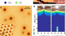 research on transition metal complexes