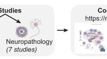 quantitative research on alzheimer's disease quantitative research on alzheimer's disease