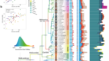 research articles on birds