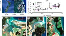 brahmaputra river flood case study