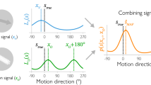 visual representation of motion