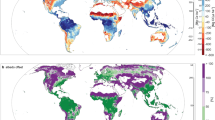 hypothesize how air pollution like smog affects photosynthesis