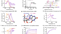 ABSTRACT IN a nucleoside the rotation of the nucleobase about the glycosidic bond relative to the sugar moiety is sterically hindered and two conformational ranges, _syn_ and _anti_, are preferred1. Theoretical2–5 and spectroscopic6–8 investigations suggest that the _anti_ conformation is slightly more energetically favoured than the _syn_. In the crystalline state, this is also true for purine nucleosides but all pyrimidine nucleosides, except 4-thiouridine9 (a tRNA minor constituent), crystallize in _anti_ conformation. 4-Thiouridine may occur in _syn_ conformation because of the stabilization by the peculiar hydrogen bonding and packing scheme or the particular C(3′)-endo-C(4′)-exo puckering* of the ribose unit. The correlation between conformation about the glycosidic bond and the sugar puckering in nucleosides was further studied by X-ray analysis of 6-methyluridine (Fig. 1). This species, according to nuclear magnetic resonance studies6, exists in the _syn_ conformation in aqueous solution because of the bulky methyl group in position 6 of the pyrimidine ring. Access through your institution Buy or subscribe This is a preview of subscription content, access via your institution ACCESS OPTIONS Access through your institution Subscribe to this journal Receive 51 print issues and online access $199.00 per year only $3.90 per issue Learn more Buy this article * Purchase on SpringerLink * Instant access to full article PDF Buy now Prices may be subject to local taxes which are calculated during checkout ADDITIONAL ACCESS OPTIONS: * Log in * Learn about institutional subscriptions * Read our FAQs * Contact customer support SIMILAR CONTENT BEING VIEWED BY OTHERS NUCLEOSIDE PHOSPHORYLASES MAKE _N_7-XANTHOSINE Article Open access 29 April 2024 UNMASKING THE HALIDE EFFECT IN DIASTEREOSELECTIVE GRIGNARD REACTIONS APPLIED TO C4´ MODIFIED NUCLEOSIDE SYNTHESIS Article Open access 16 February 2025 REGIOSELECTIVE RIBONUCLEOSIDE SYNTHESIS THROUGH TI-CATALYSED RIBOSYLATION OF NUCLEOBASES Article 09 January 2023 REFERENCES * Donohue, J., and Trueblood, K. N., _J. Mol. Biol._, 2, 363 (1960). Article  CAS  Google Scholar  * Haschemeyer, A. E. V., and Rich, A., _J. Mol. Biol._, 27, 369 (1967). Article  CAS  Google Scholar  * Lakshminarayanan, A. V., and Sasisekharan, V., _Biochim. Biophys. Acta_, 204, 49 (1970). Article  CAS  Google Scholar  * Berthod, H., and Pullman, B., _Biochim. Biophys. Acta_, 232, 595 (1971). Article  CAS  Google Scholar  * Kang, S., _J. Mol. Biol._, 58, 297 (1971). Article  CAS  Google Scholar  * Schweizer, M. P., Witkowski, J. T., and Robins, R. K., _J. Amer. Chem. Soc._, 93, 277 (1971). Article  CAS  Google Scholar  * Hart, P. A., and Davis, J. P., _J. Amer. Chem. Soc._, 91, 512 (1969). Article  CAS  Google Scholar  * Rogers, G. T., and Ulbricht, T. L. V., _Biochem. Biophys. Res. Commun._, 39, 419 (1970). Article  CAS  Google Scholar  * Saenger, W., and Scheit, K. H., _J. Mol. Biol._, 50, 153 (1970). Article  CAS  Google Scholar  * Karle, J., and Hautpman, H., _Acta Cryst._, 9, 635 (1956). Article  MathSciNet  CAS  Google Scholar  * Germain, G., Main, P., and Woolfson, M. M., _Acta Cryst._, B 26, 274 (1970) and A 27, 368 (1971). Article  CAS  Google Scholar  * Saenger, W., and Eckstein, F., _J. Amer. Chem. Soc._, 92, 4712 (1970). Article  CAS  Google Scholar  * Rao, S. T., and Sundaralingam, M., _J. Amer. Chem. Soc._, 92, 4963 (1970). Article  CAS  Google Scholar  * Saenger, W., _J. Amer. Chem. Soc._, 93, 3035 (1971). Article  CAS  Google Scholar  Download references AUTHOR INFORMATION AUTHORS AND AFFILIATIONS * Max-Planck-Institut für Experimentelle Medizin, Abteilung Chemie, 34, Göttingen D. SUCK & W. SAENGER * Schering AG, 1, Berlin H. VORBRÜGGEN Authors * D. SUCK View author publications You can also search for this author inPubMed Google Scholar * W. SAENGER View author publications You can also search for this author inPubMed Google Scholar * H. VORBRÜGGEN View author publications You can also search for this author inPubMed Google Scholar RIGHTS AND PERMISSIONS Reprints and permissions ABOUT THIS ARTICLE CITE THIS ARTICLE SUCK, D., SAENGER, W. & VORBRÜGGEN, H. Conformation of 6-Methyluridine — a Pyrimidine Nucleoside in the _syn_ Conformation. _Nature_ 235, 333–334 (1972). https://doi.org/10.1038/235333a0 Download citation * Received: 24 August 1971 * Issue Date: 11 February 1972 * DOI: https://doi.org/10.1038/235333a0 SHARE THIS ARTICLE Anyone you share the following link with will be able to read this content: Get shareable link Sorry, a shareable link is not currently available for this article. Copy to clipboard Provided by the Springer Nature SharedIt content-sharing initiative