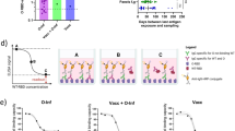 research paper on yellow fever