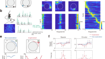 cortical reaction research paper