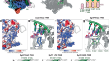 crispr cas9 research