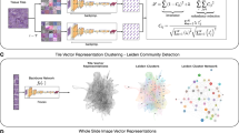 Self-supervised learning reveals clinically relevant histomorphological patterns for therapeutic ...