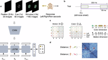 Cortex Fast Ingwe Prefrontal cortex temporally multiplexes slow and fast dynamics in ...