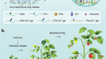glutathione s transferase alzheimer disease Glutathione transferases: substrates, inihibitors and pro-drugs in cancer  and neurodegenerative diseases