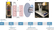 stem cell research & therapy scimago