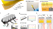 thesis on soft robots