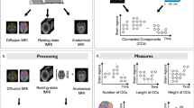 the gender similarities hypothesis the gender similarities hypothesis