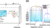 a case study of integrated wastewater treatment