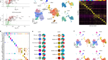 phd tissue engineering and regenerative medicine