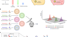 research papers on solid lipid nanoparticles