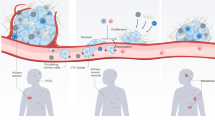 essay on cancer cells