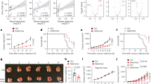 Are diet–prostate cancer associations mediated by the IGF axis? A  cross-sectional analysis of diet, IGF-1 and IGFBP-3 in healthy middle-aged  men