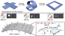 DNA origami cryptography for secure communication | Nature 