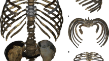 Late subadult ontogeny and adult aging of the human thorax reveals