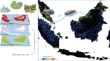 essay on forest depletion