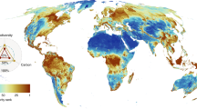 essays on ecosystem restoration