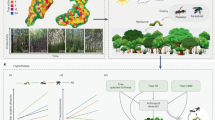 plant communities research paper