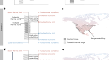 the critical limit hypothesis