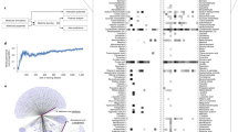 descriptive type of research design