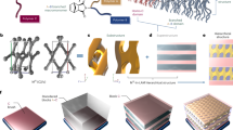 Convoluted micellar morphological transitions driven by tailorable ...