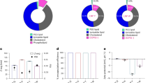 Lipid Nanoparticles for the Delivery of mRNA | Springer Nature Link