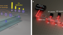 Quantitative analysis of the intensity distribution of optical rogue ...