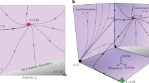 scaling hypothesis function