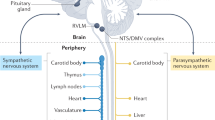 literature review on knowledge of hypertension