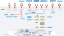 gastric cancer patient journey