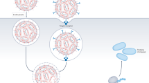 nucleic acids research article types