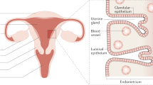 research in cancer epidemiology